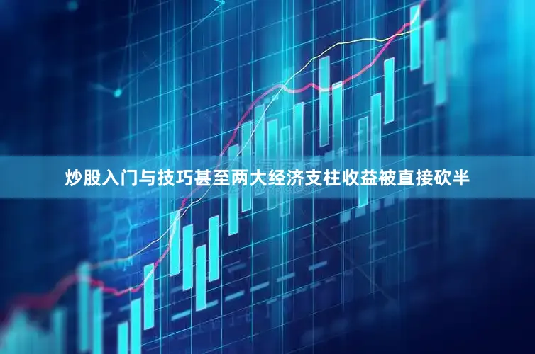 炒股入门与技巧甚至两大经济支柱收益被直接砍半