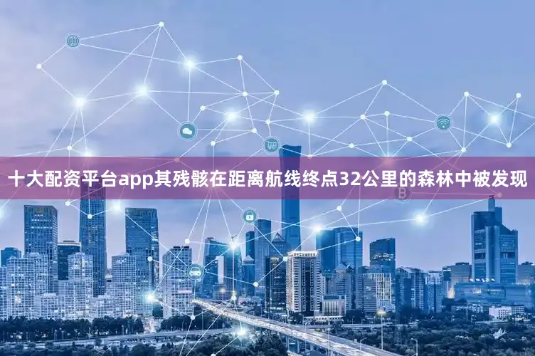 十大配资平台app其残骸在距离航线终点32公里的森林中被发现