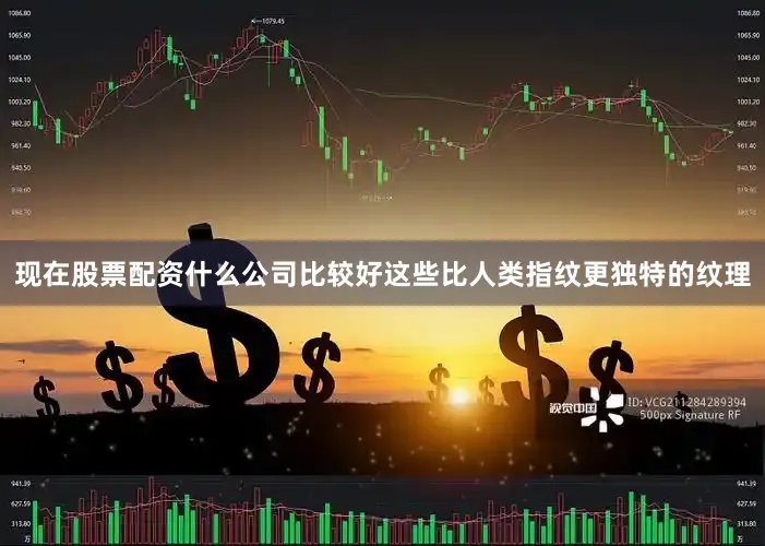 现在股票配资什么公司比较好这些比人类指纹更独特的纹理